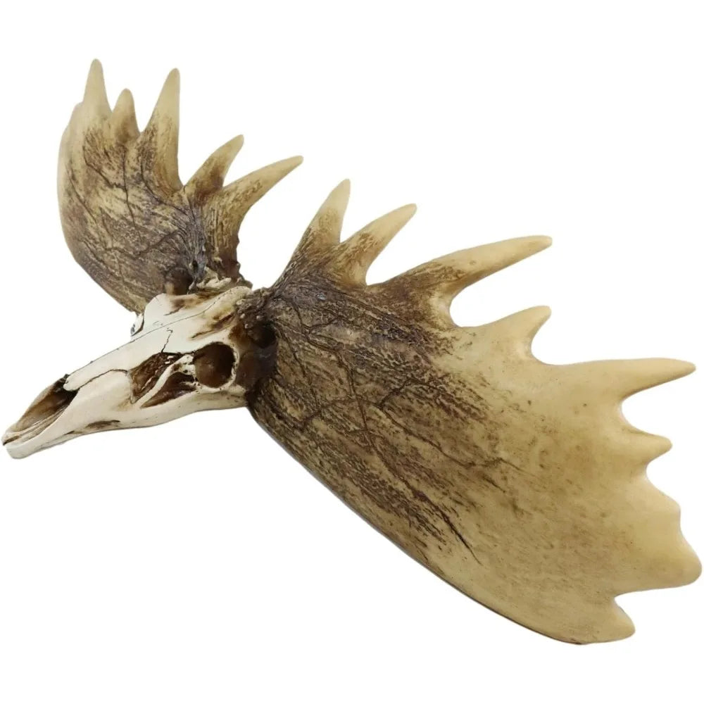 Rustic Western Emperor Moose Elk Skull Antlers Wall Hanging Floating Shelf with Hanger Point Hooks 27.5" Long Buck Deers Decora