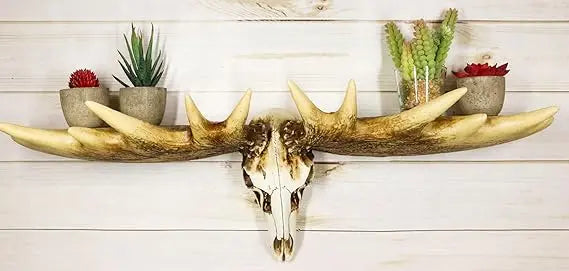 Rustic Western Emperor Moose Elk Skull Antlers Wall Hanging Floating Shelf with Hanger Point Hooks 27.5" Long Buck Deers Decora
