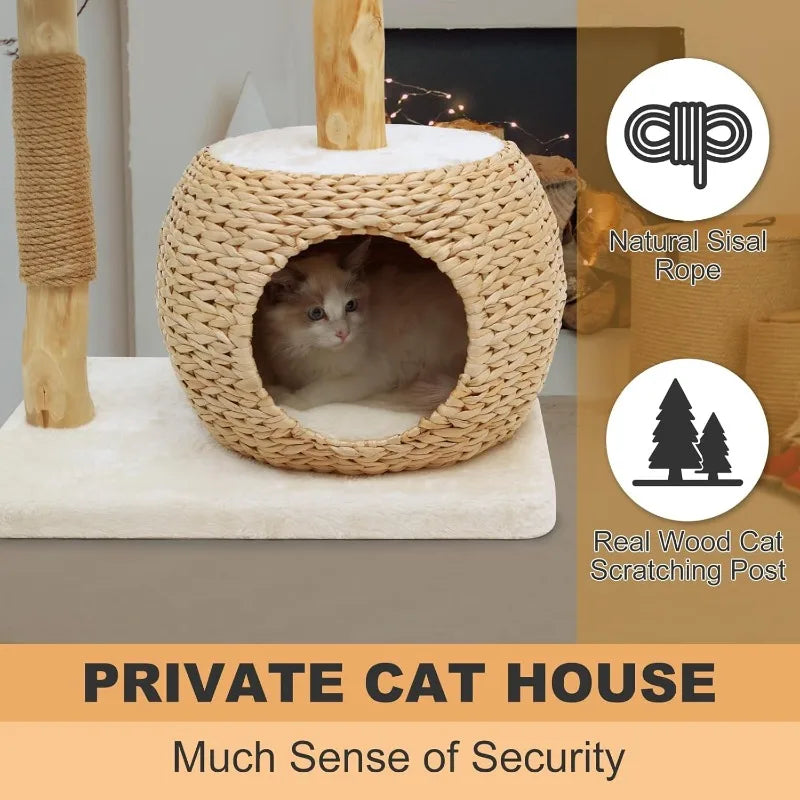 Tree Tower for Indoor Cats, Real Branch Luxury Cat Condo with Scratching Post, Jumping Platforms, Hanging Toy Ball fo
