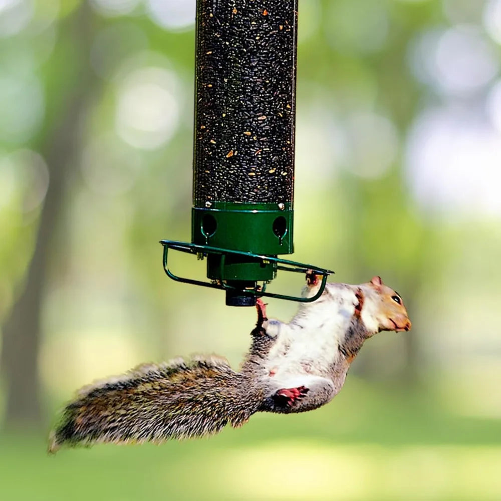 Squirrel Proof Bird Feeders for Outdoors - Flipper, Collapsible Perches, 5-Pound Seed Capacity, Blue - Best