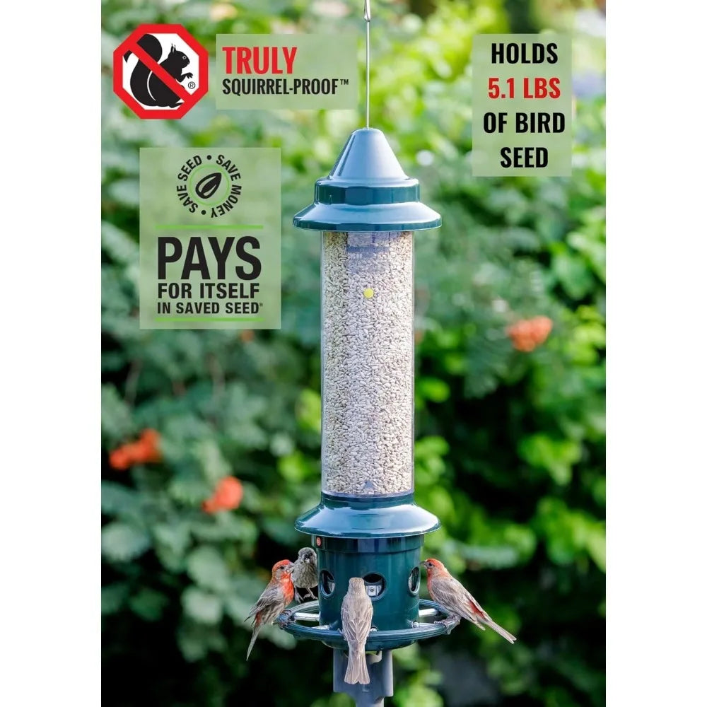 Fully upgraded-Squirrel Buster Plus Squirrel-proof Bird Feeder w/Cardinal Ring and 6 Feeding Ports, 5.1-pound Seed Capacity,