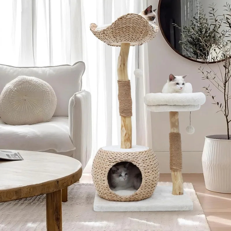 Tree Tower for Indoor Cats, Real Branch Luxury Cat Condo with Scratching Post, Jumping Platforms, Hanging Toy Ball fo