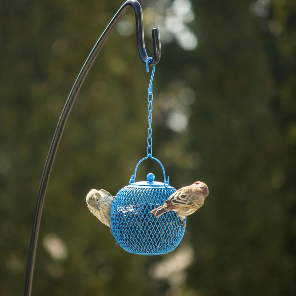 3Pc Squirrel Proof Bird Feeder Hopper MultiColor Mesh Design Easy Attach Outdoor Birdwatching Wild Bird Feeding Station