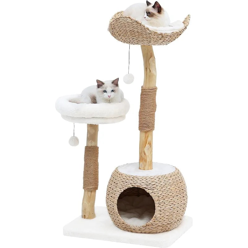 Tree Tower for Indoor Cats, Real Branch Luxury Cat Condo with Scratching Post, Jumping Platforms, Hanging Toy Ball fo