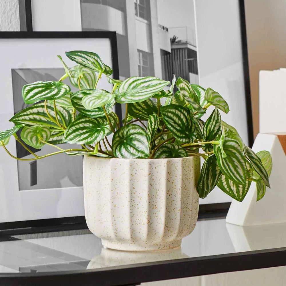 Ribbed Ceramic Vase Pot Indoor Plants Flowers Elegant Home Decor Any Room 4.5 Inch Cream White Durable Decor Accent
