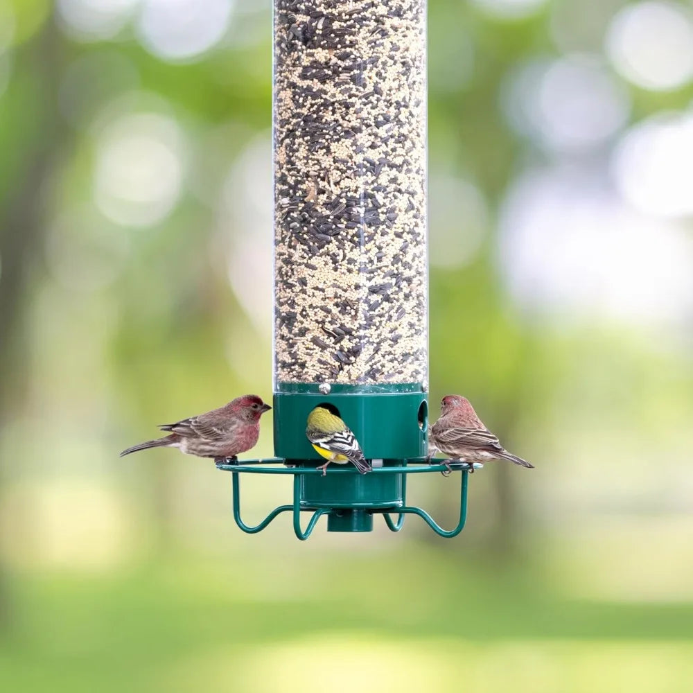 Squirrel Proof Bird Feeders for Outdoors - Flipper, Collapsible Perches, 5-Pound Seed Capacity, Blue - Best
